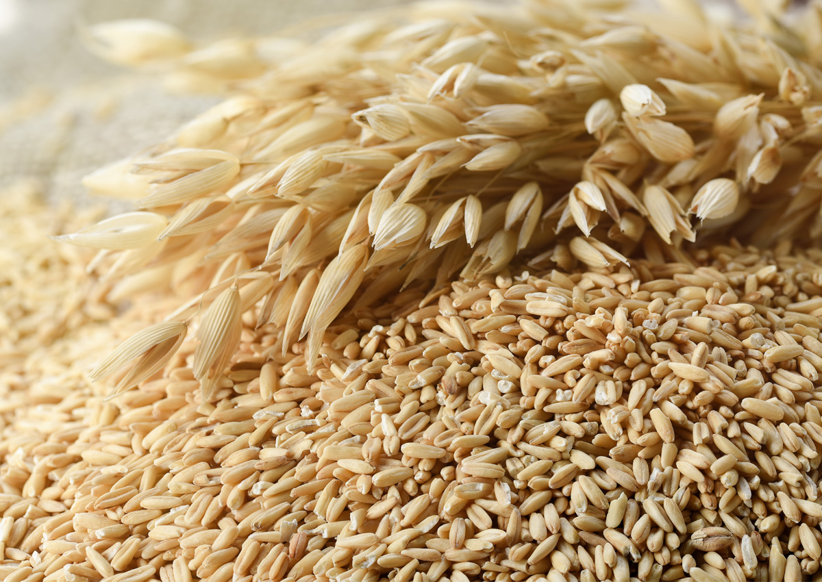 avena